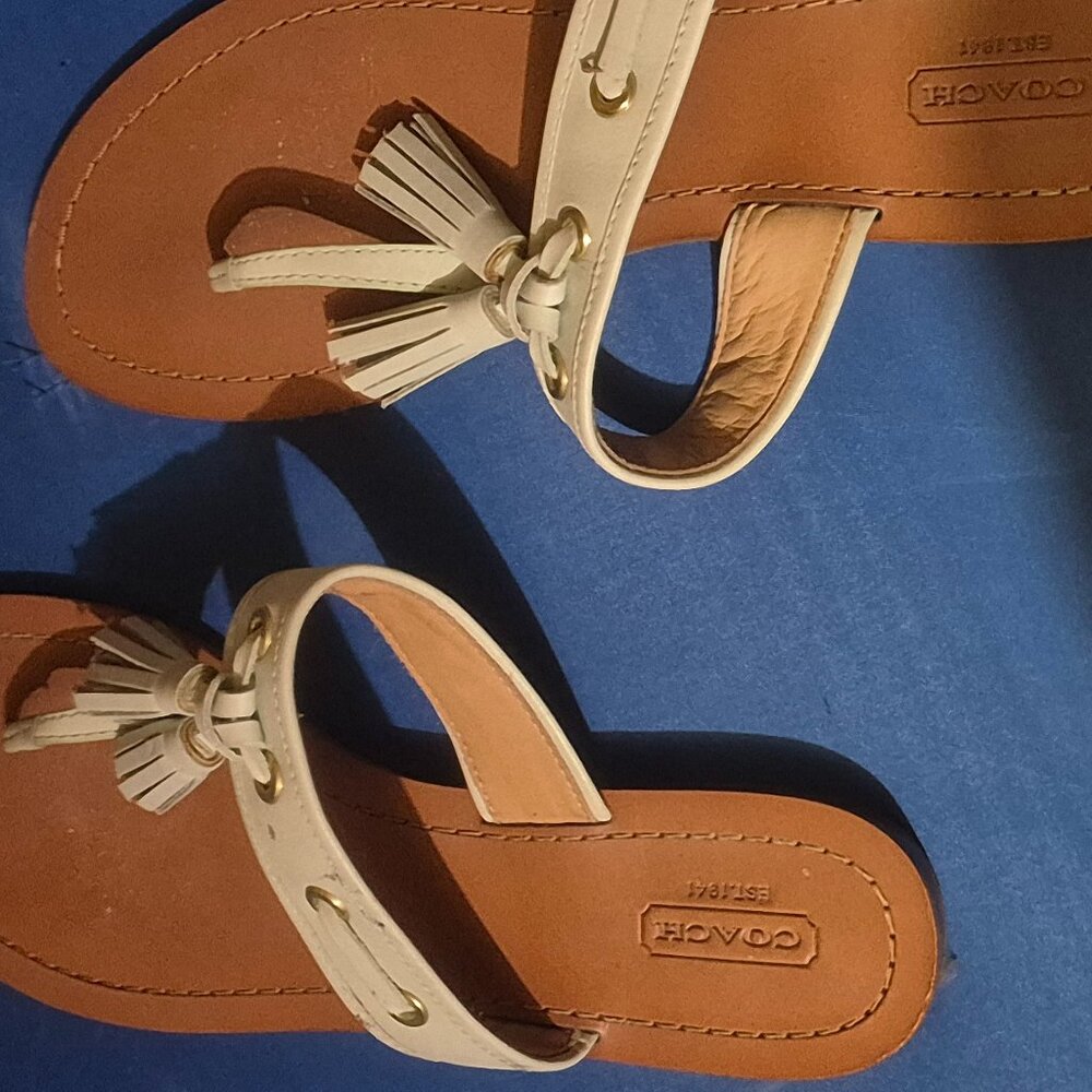 Coach SHEENA platinum Open Toe Shoes